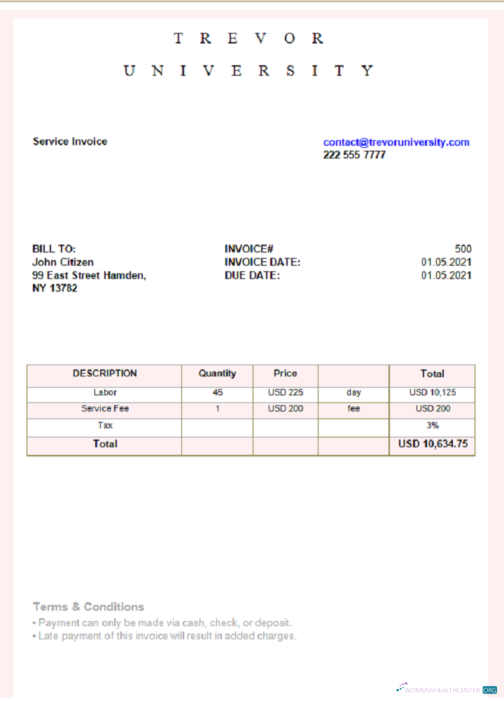 Download USA Trevor University invoice Photoshop template